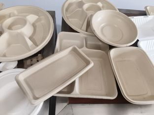 UV Paint Spraying Coating Machine for Laminate Panel Finishing: Instant Cure Production Line for MDF Board