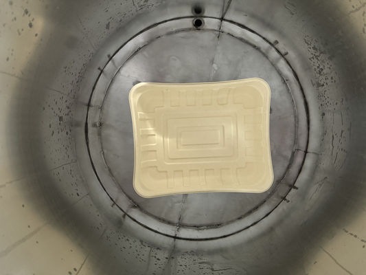 High-Throughput 24-Station Customizable Spin Coater for Industrial Wafer Coating