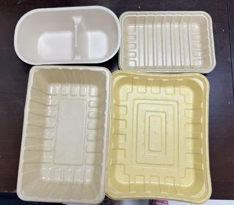 สายสปินโค้ทอัจฉริยะ 24 สถานี สำหรับเคลือบสารกันน้ำ/น้ำมันบนภาชนะขึ้นรูปจากเยื่อกระดาษ