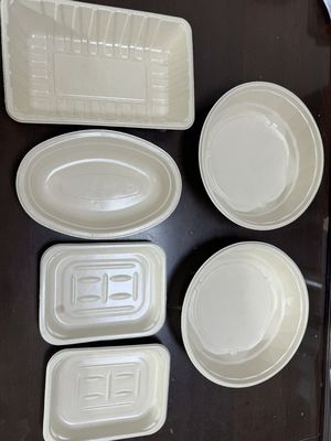 Compact 6-Station Programmable Spin Coating System for R&D and Small-Batch Pulp Tableware Production