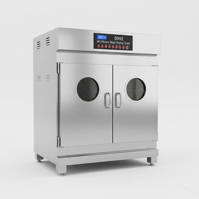 380V 50HZ เตาอบอุณหภูมิคงที่สองประตู, W1300Mm Blast Drying Oven