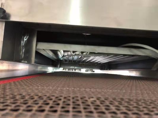 UV-C Sterilization Tunnel for Transparent Food Packaging & Dried Fruit - Conveyorized Inline System