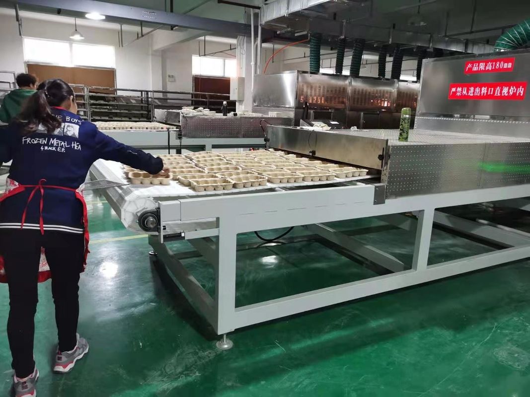 เครื่องอบแห้งผลไม้และสมุนไพรด้วยไมโครเวฟสำหรับอุตสาหกรรม | ประสิทธิภาพสูง & การรักษาคุณภาพ