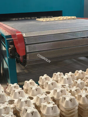 Customized Double-Layer Natural Gas Drying Production Line for Furniture Panels and Pulp Molding